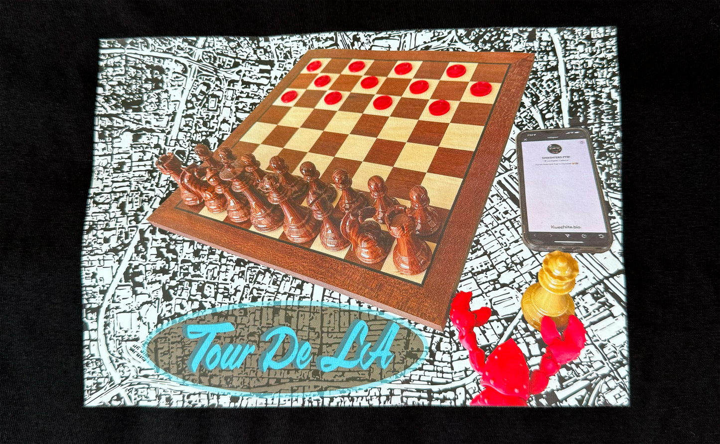 TDLA Chess not Checkers Hoodie